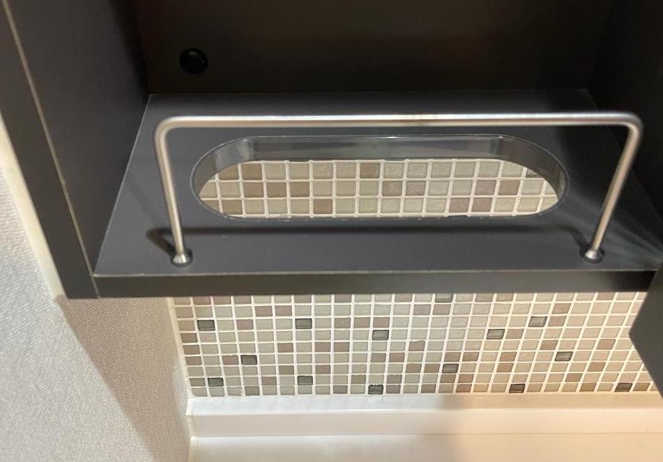 ザ・熊本ガーデンズ 2LDK 3面鏡裏の収納