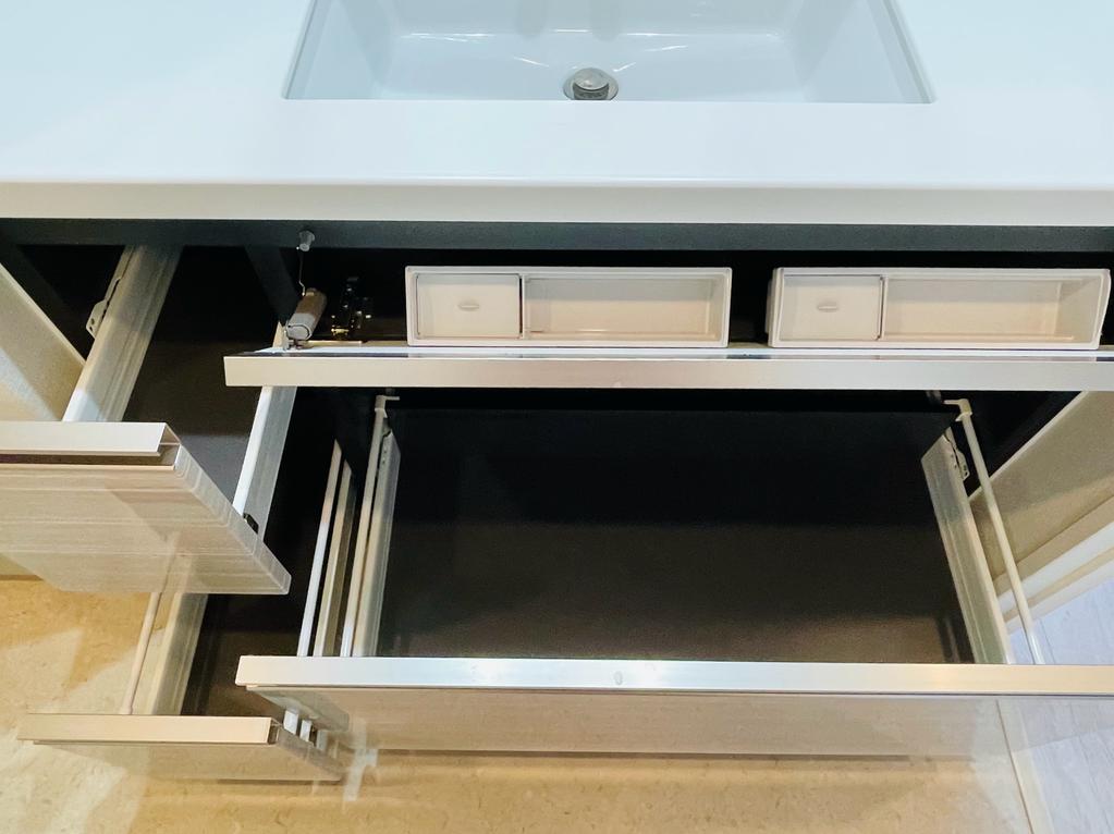 ザ・熊本ガーデンズ 2LDK パウダールームの洗面カウンター下の引出し収納