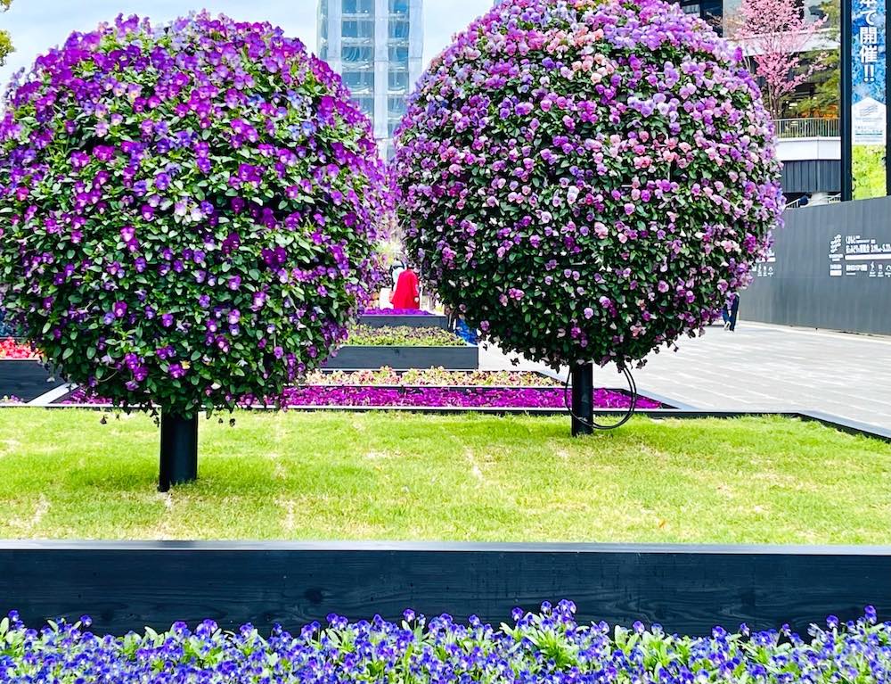 シンボルプロムナードで花博開催